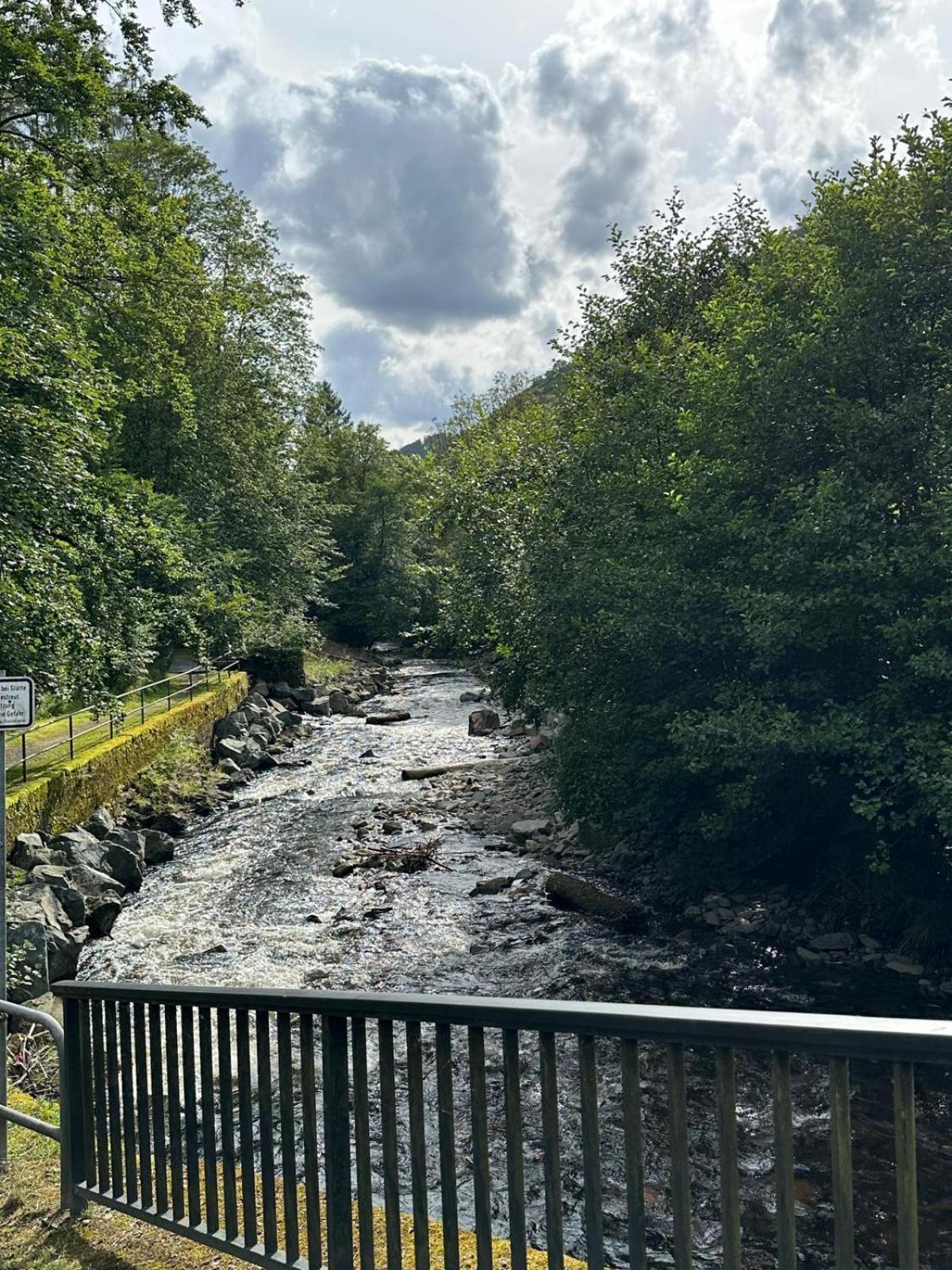 Ferienbutzen Harz Heikenberg, Bad Lauterberg Mit Schwimmbad Und Sauna 外观 照片